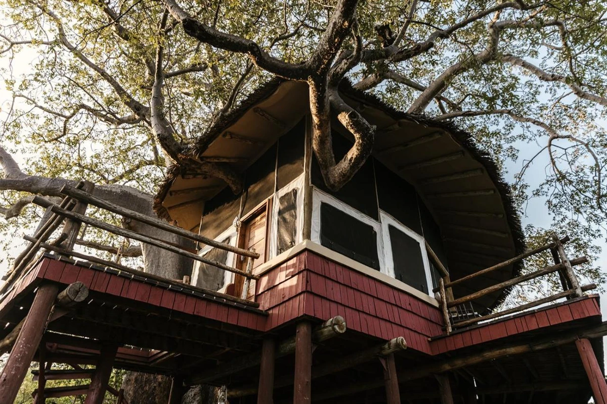 Not Just Another Treehouse Hotel: Sleep Inside a Thousand-Year-Old Tree of Life