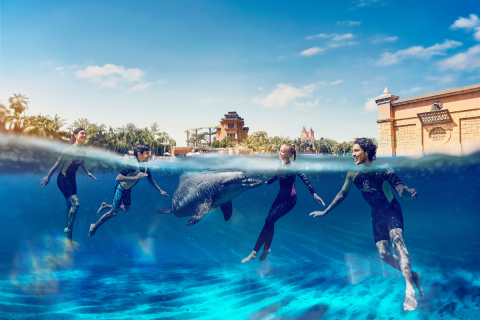 Discover the Otherworldly Magic of Dolphins at Atlantis Dubai