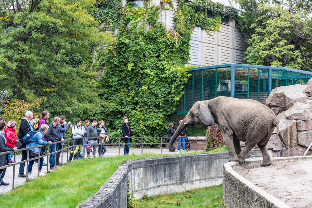 Kid-Friendly_Activities_to_Do_in_Berlin_3_Berlin Zoological Garden