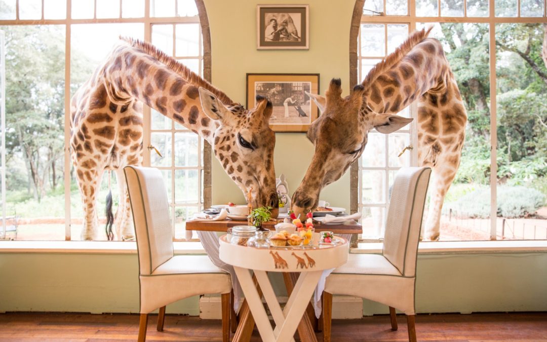 Have Breakfast With Giraffes? Sleep in a Treehouse? Yes, You Can, in These 7 Most Unusual Hotels Around the World