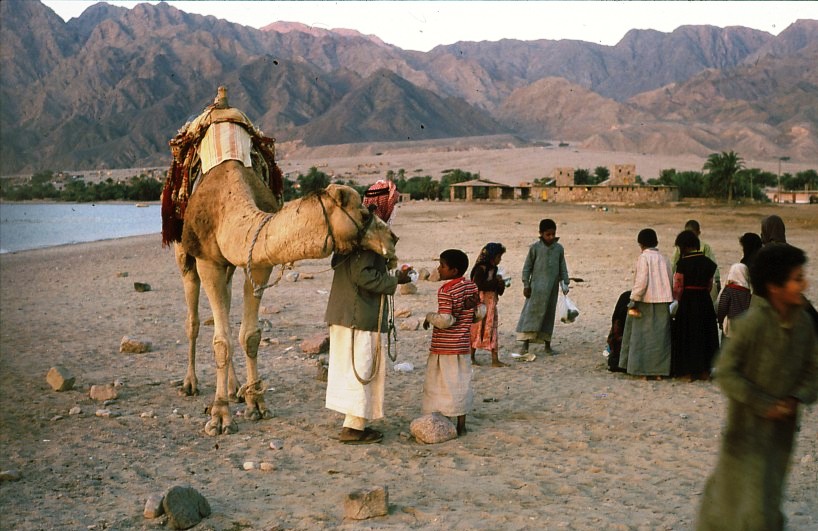 Who Are The Bedouins Things To Know About Nomadic People In Sinai And Egyptian Desert