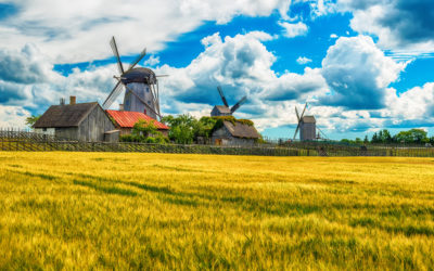 Saarema Island Estonia summer fields and Angla windmills in Leisi Parish