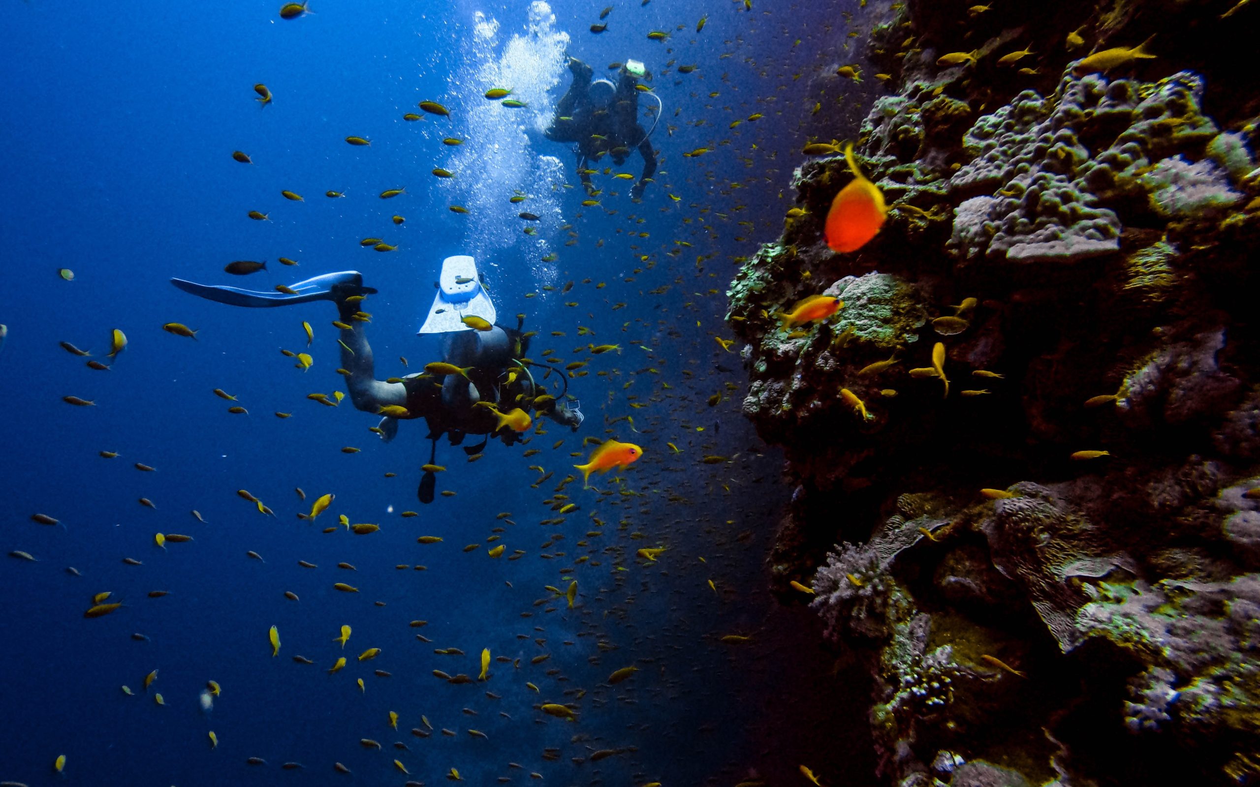 World Record For Free Diving Woman