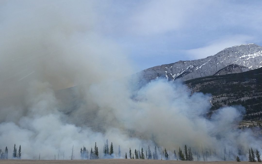Canada Wildfires 2026: Current Risk, Smoke and Travel Advice