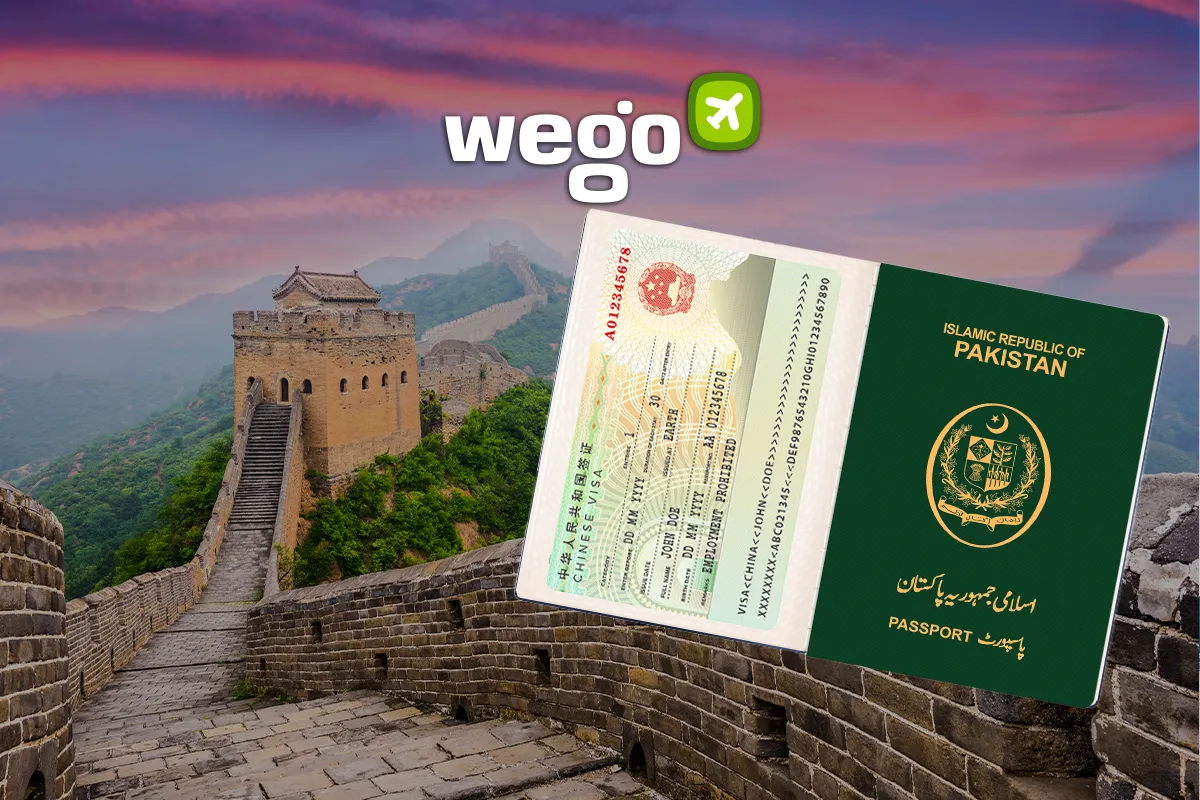 china visit visa from pakistan documents required
