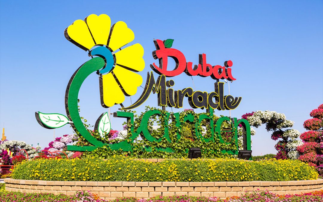 Dubai Miracle Garden: How to Visit Dubai’s Magnificent Flower Garden