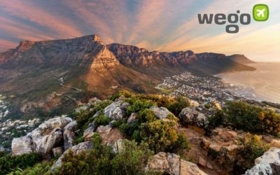 South Africa Travel Restrictions & Border Reopening - Can I Travel To South Africa?