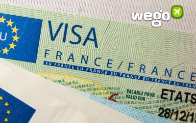 France Visa Check 2022: How to Easily Check Your France Visa Status Online?