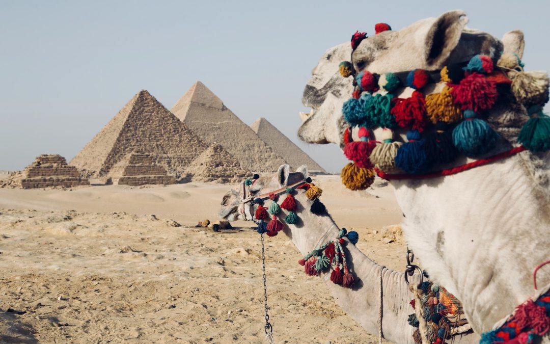 What the Egypt Visa Process in Jakarta Taught Me About Patience, Paperwork, and Planning