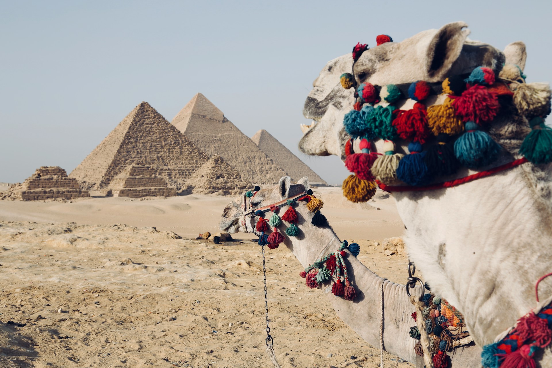 What the Egypt Visa Process in Jakarta Taught Me About Patience, Paperwork, and Planning