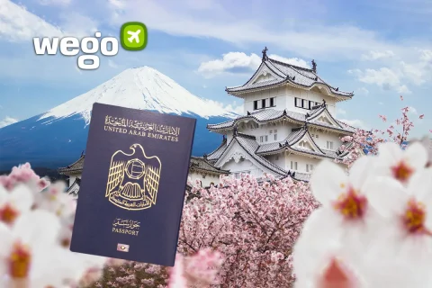 Japan Tourist Visa for UAE Residents 2023: How to Apply for the Japan eVisa from the UAE?