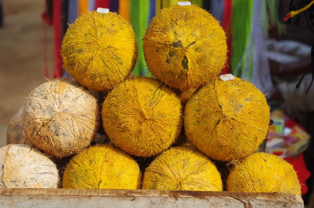 pongal coconut