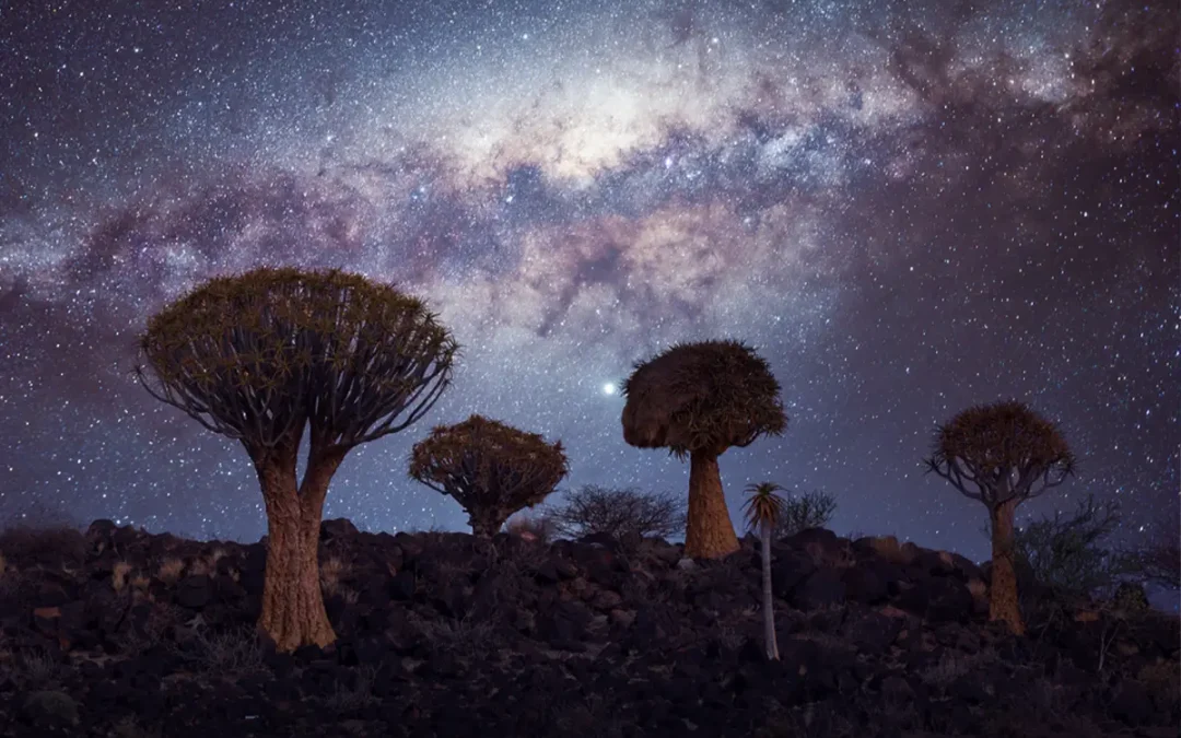 The Midnight Glow: Why Some Places Are Better When the Sun Goes Down