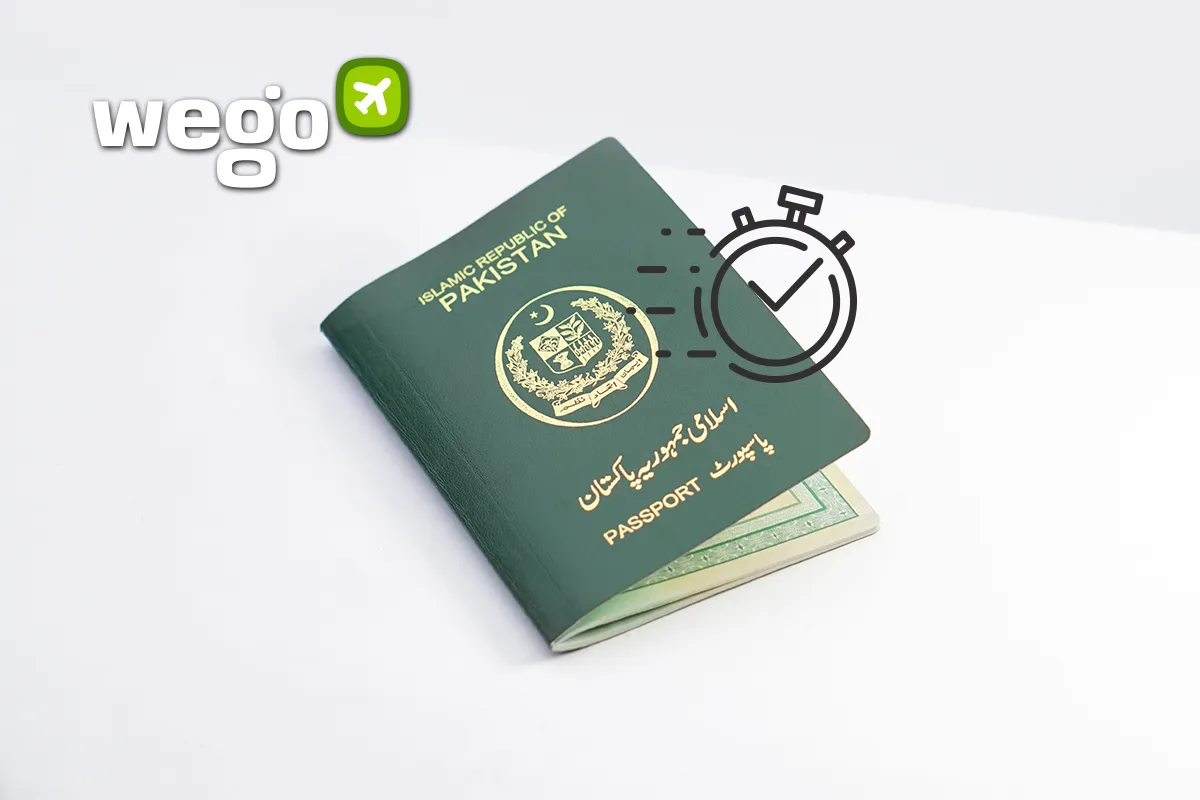 What Is Ordinary Passport In Pakistan