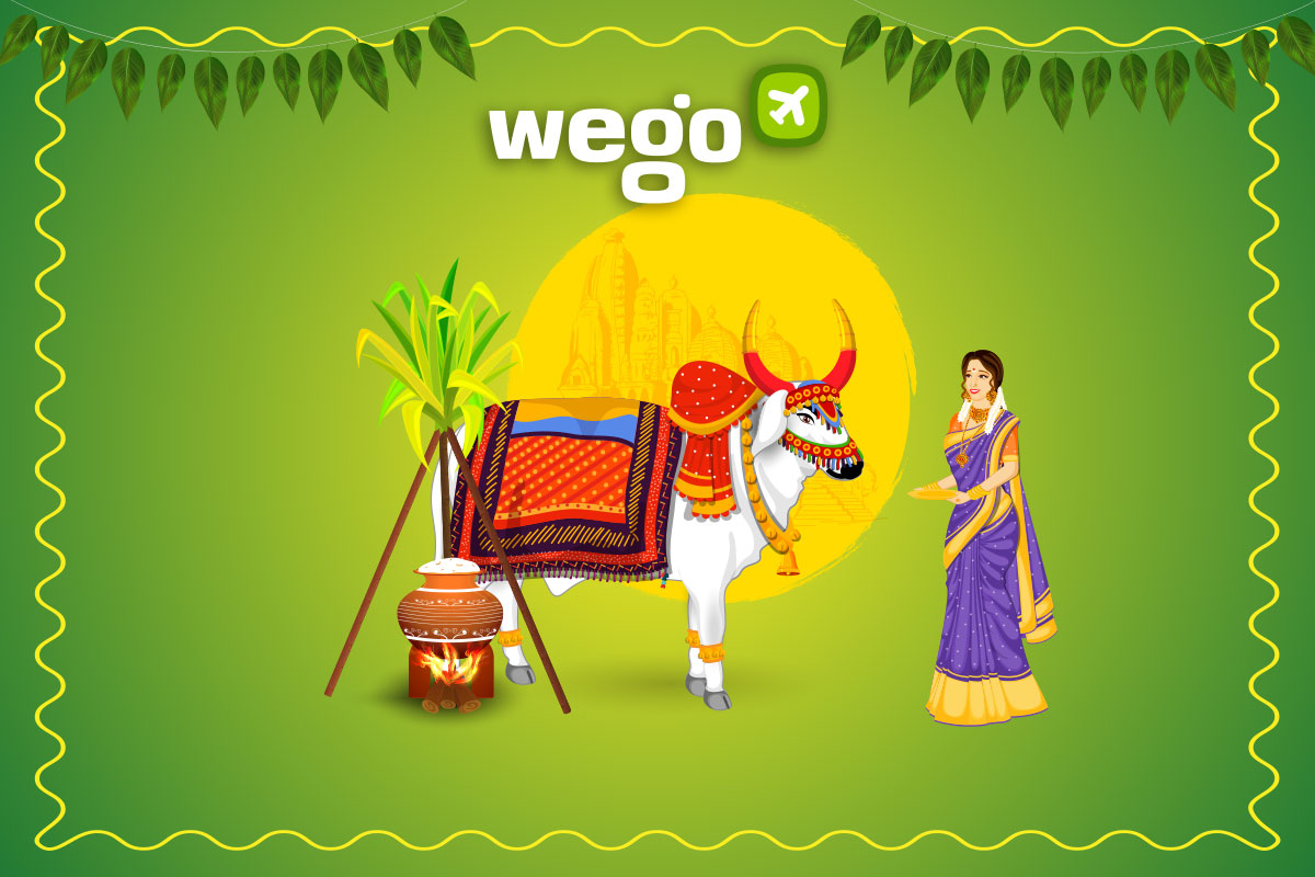 Pongal 2024 Festival, Date, Holidays & More Wego Travel Blog