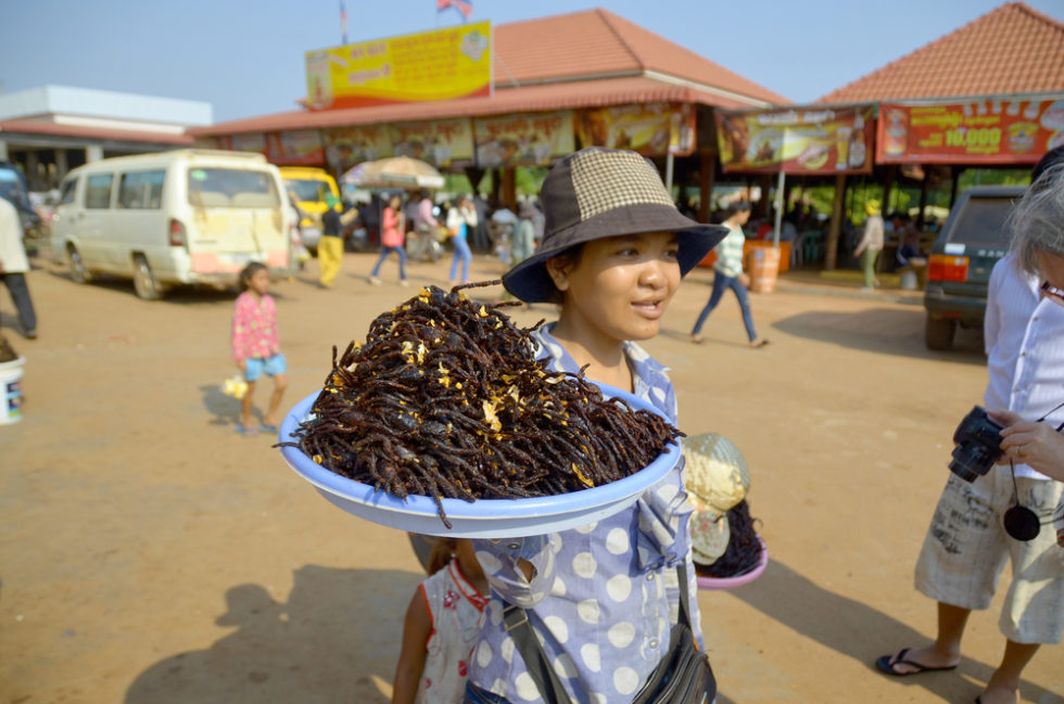 Countries That Eat Insects: Which Countries Eat Bugs as Food? - Wego.com