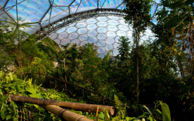 The Spectacular Tropical Rainforest in England No One Knows About: Inside The Eden Project