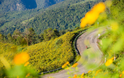 The Most Stunning Route in Southeast Asia? Motorcycle Journey Through the Winding Hills of Mae Hong Son Loop