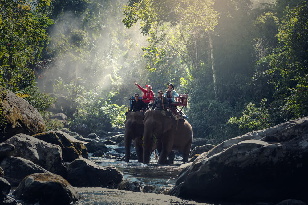 The Amazing Thailand Grand Tourism and Sports Year 2025: Surprises and Delights For Everyone