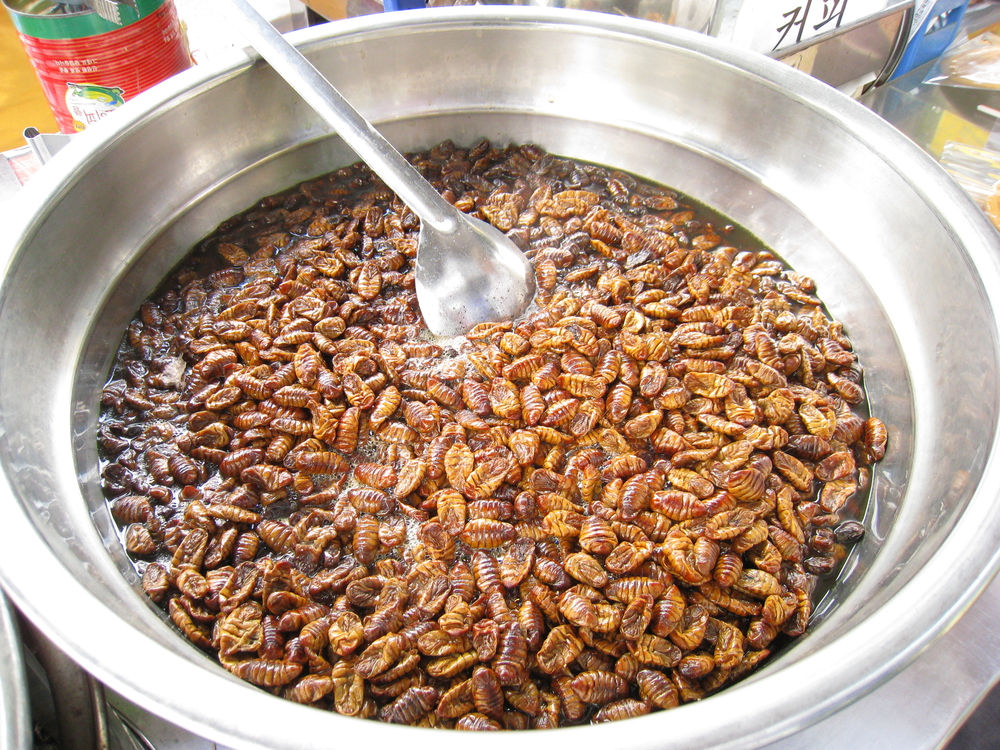 Countries That Eat Insects: Which Countries Eat Bugs as Food? - Wego.com