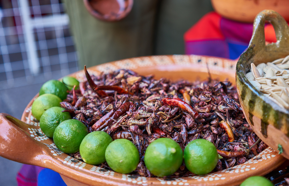 Countries That Eat Insects: Which Countries Eat Bugs as Food? - Wego.com