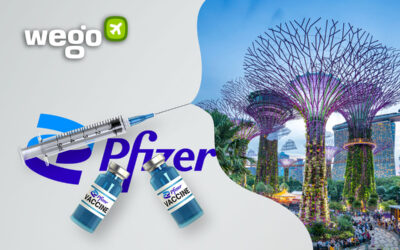 Pfizer Vaccine in Singapore – Everything You Want to Know About the Vaccine