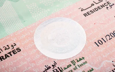 uae-visa-number